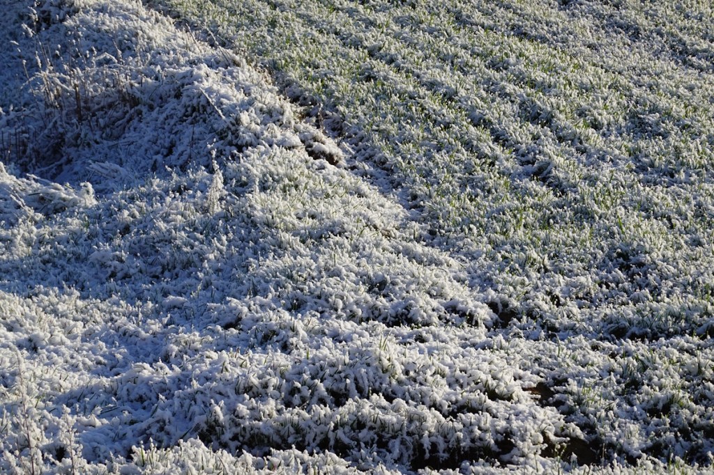 Entre invierno y primavera (Marzo&nbsp;2025)
