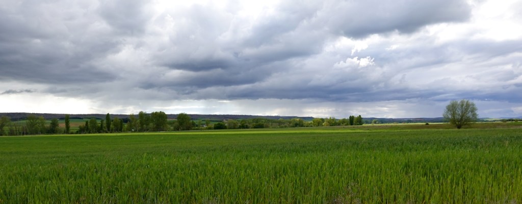 El campo en mayo&nbsp;(20250513)