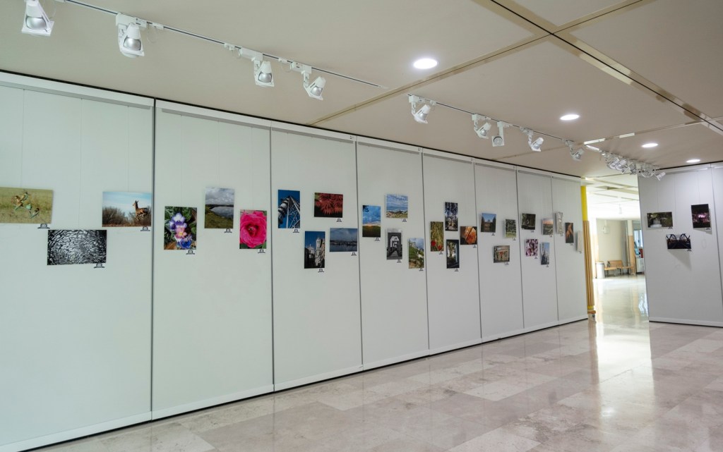 20260601 Exposición